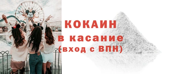 трава Няндома