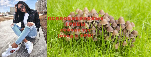 трава Няндома