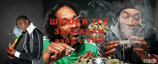 трава Няндома