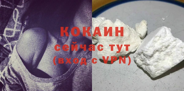трава Няндома