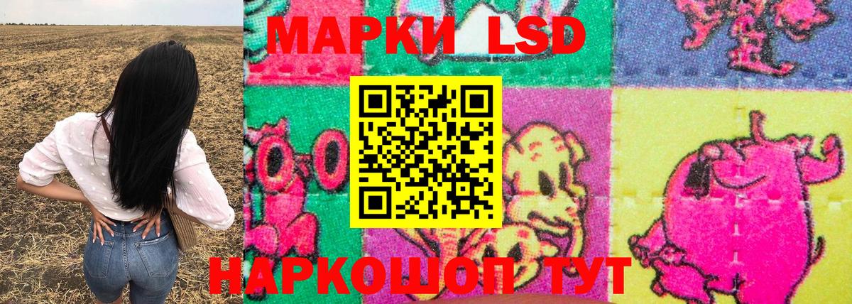 Наркотические марки 1,8мг  Марки 25I-NBOMe 1,8мг  Хасавюрт  купить  цена  Вход с VPN 