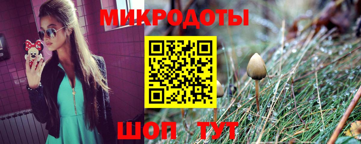 Хасавюрт  Галлюциногенные грибы Cubensis  Вход с VPN 