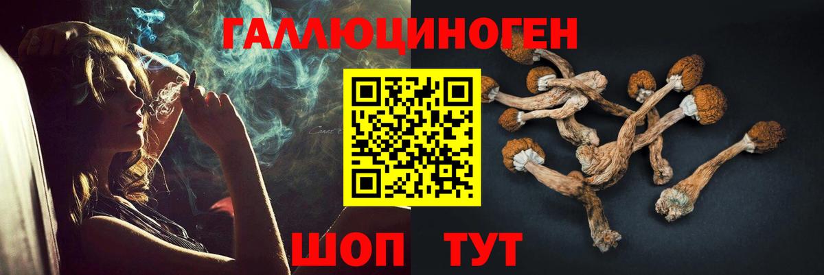 Галлюциногенные грибы ЛСД  Вход с VPN  Хасавюрт 